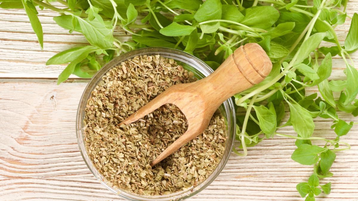 Los beneficios del orégano para la salud. 