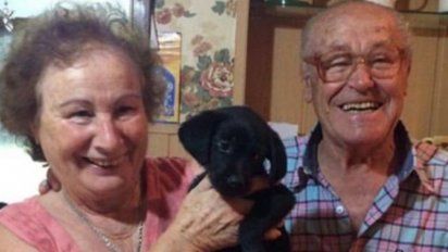 Sorprendieron a sus abuelos al regalarles una perra y su reacción conmovió a todos