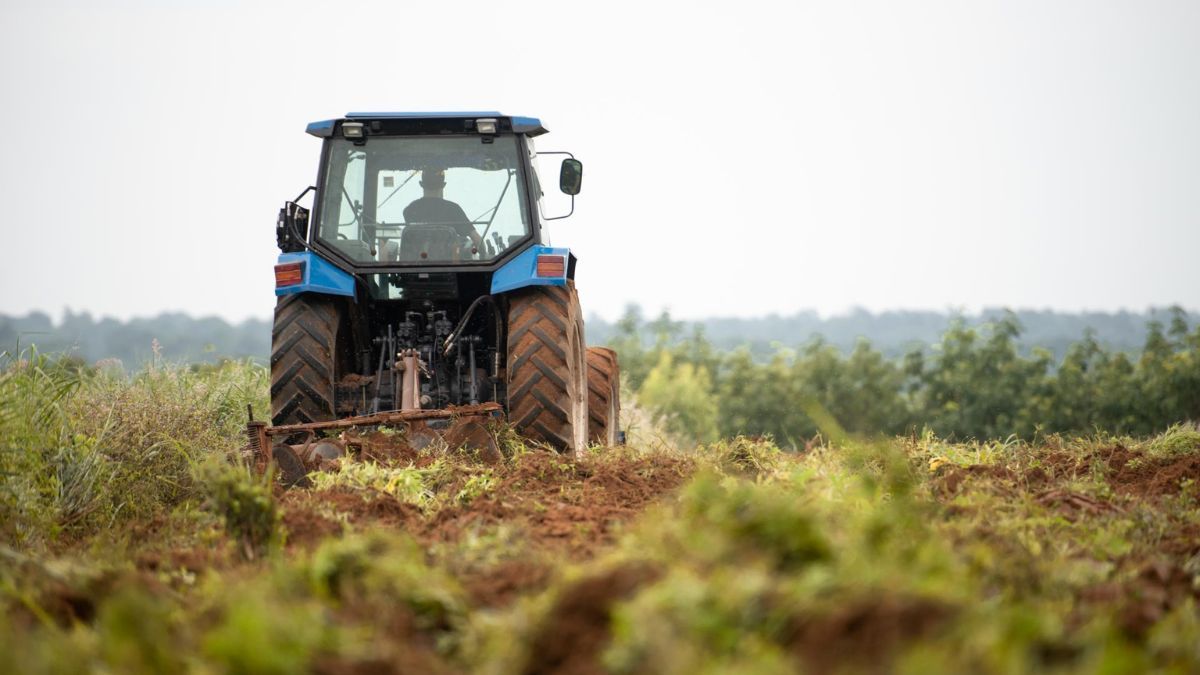 El trágico episodio ocurrió en la localidad de Ausonia