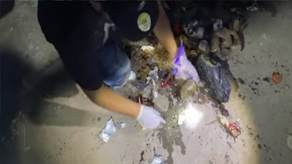 Aterradoras imágenes en un cementerio abandonado: ¿qué se encontró?