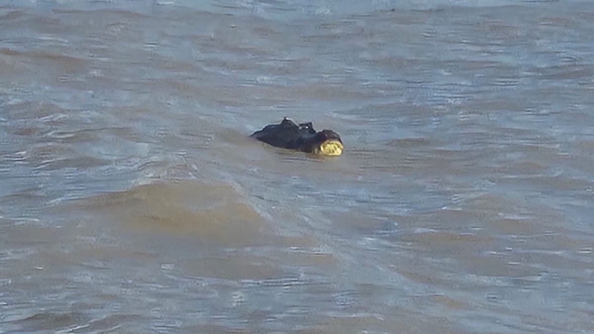 El balneario cerró a las 20