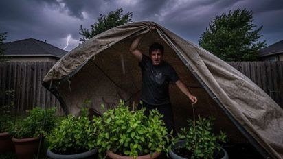 Qué hacer con tus plantas de exterior ante la llegada de tormentas fuertes