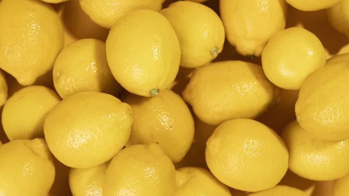 Arribó a China un embarque de limones tucumanos listos para ser comercializados