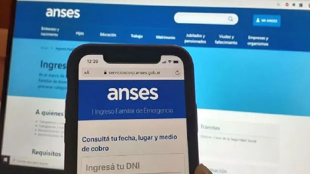 Preinscripción IFE 4