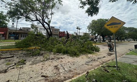 La intensa lluvia provocó algunos inconvenientes en Santa Fe. En avenida Galicia, un gran árbol cayó sobre la calzada. La intensa lluvia provocó algunos inconvenientes en Santa Fe. En avenida Galicia, un gran árbol cayó sobre la calzada.