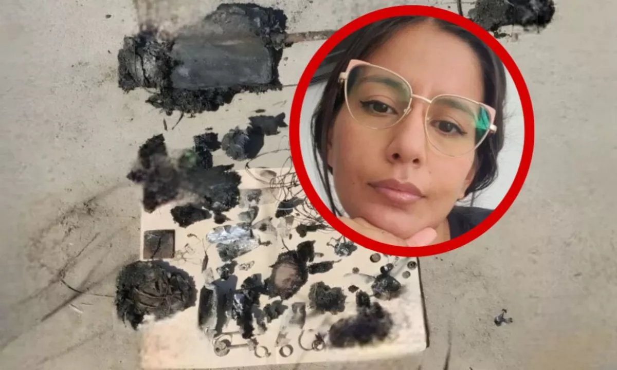 Femicidio de Cecilia Strzyzowski: César Sena y su madre buscan revertir sus imputaciones