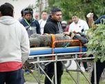 La v&iacute;ctima ten&iacute;a 17 a&ntilde;os y muri&oacute; a ra&iacute;z de un balazo en la espalda.&nbsp;