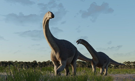 El nuevo hallazgo del CONICET: descubren un Titanosaurio en la Patagonia El nuevo hallazgo del CONICET: descubren un Titanosaurio en la Patagonia