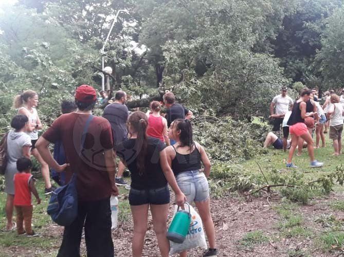 Un árbol cayó arriba de varias personas en el Parque del Sur y dejó heridos