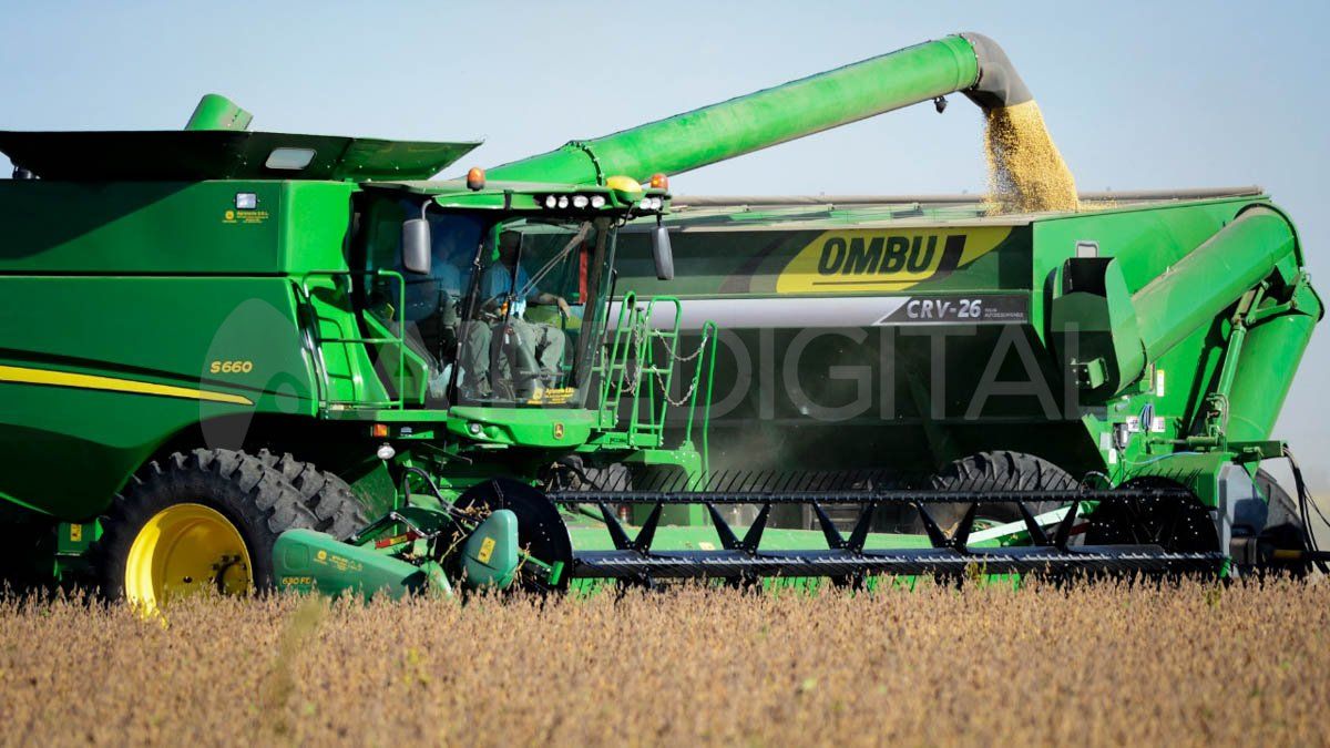 Mientras que el promedio ponderado de cultivos a nivel nacional es de 61,5%, la participación del Estado en soja es del 68,4%, maíz 53,9%, trigo 50,4% y girasol 44,8%.