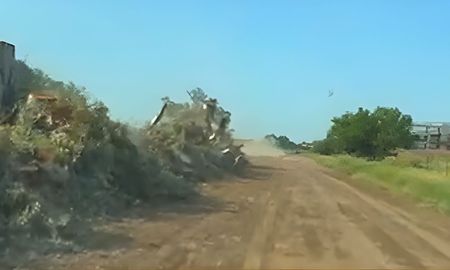 productores denuncian doble vara ambiental tras la tala de arboles en rafaela productores denuncian doble vara ambiental tras la tala de arboles en rafaela