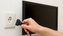 altText(Estos son los electrodomésticos que debés desenchufar para ahorrar luz)}