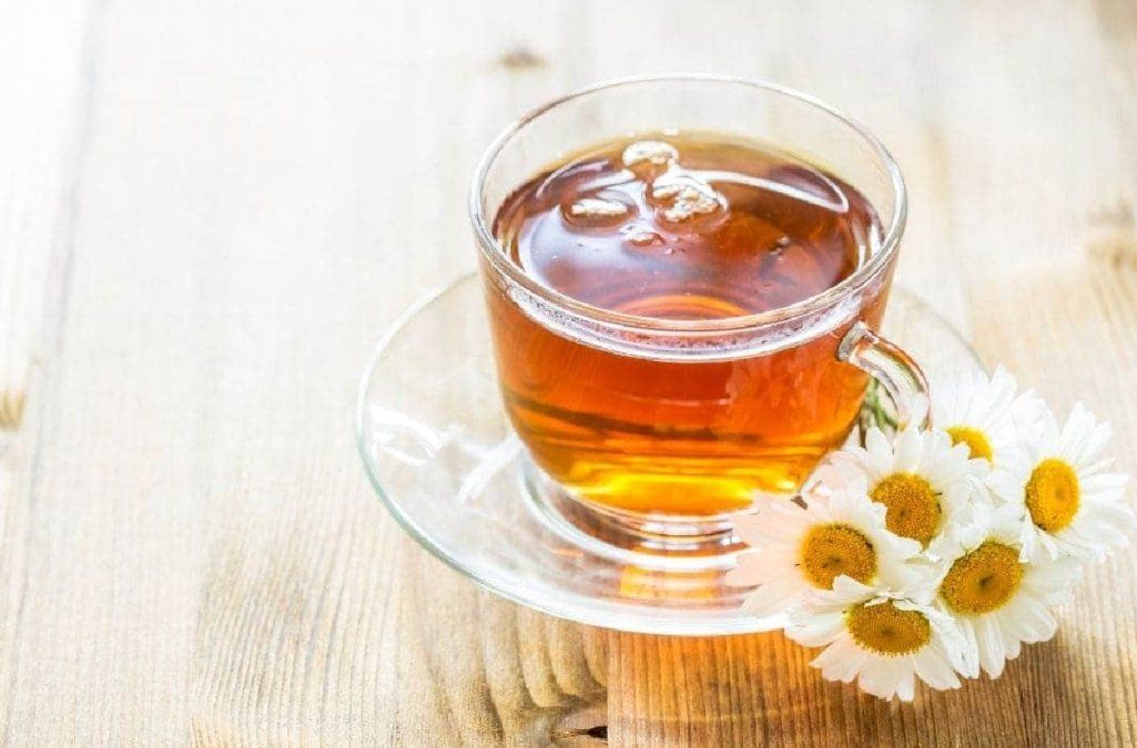 Cómo cultivar tu propia planta de manzanilla en casa