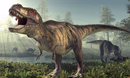 Revelan por qué el Tiranosaurio rex tenía los brazos tan pequeños Revelan por qué el Tiranosaurio rex tenía los brazos tan pequeños