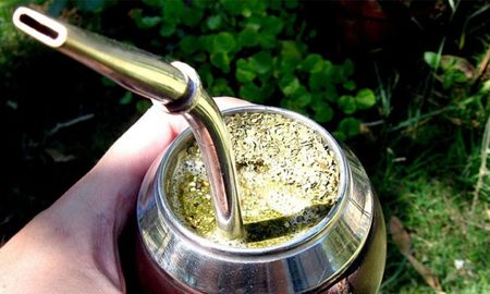 cuales son los yuyos para el mate que mejoran la salud cuales son los yuyos para el mate que mejoran la salud
