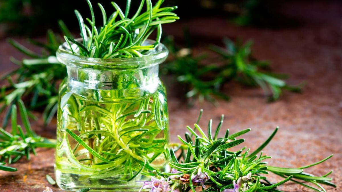 Cómo hacer aceite de romero en casa&nbsp;