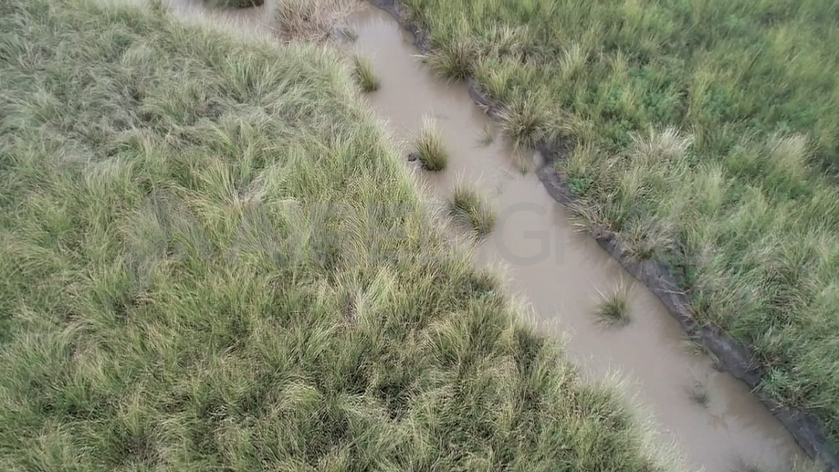 Este miércoles, la búsqueda se traslada a la zona de bañados. Este miércoles, la búsqueda se traslada a la zona de bañados.