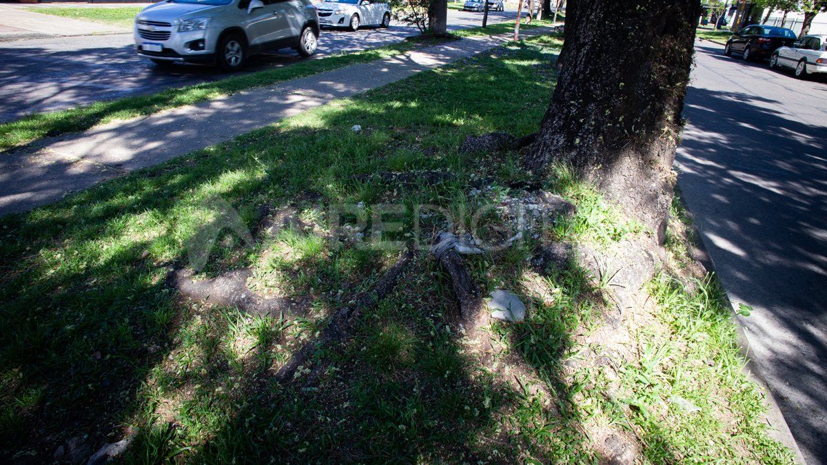 La expansión de la ciudad de Santa Fe hacia el norte no sólo que no se detuvo, sino por el contrario, ese proceso se sigue incrementando hasta la actualidad. Pero ese crecimiento del sector de la ciudad no fue acompañado por el aporte de infraestructura o modernización por parte del Estado.