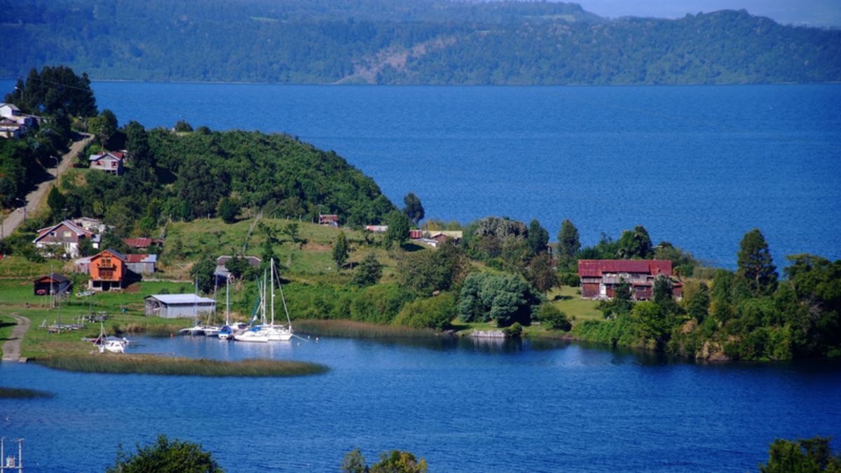 La economía local de Puerto Octay mantiene un vínculo estrecho con las ferias de productos artesanales y la gastronomía de influencia europea, pilares del turismo sostenible en el sur chileno. La economía local de Puerto Octay mantiene un vínculo estrecho con las ferias de productos artesanales y la gastronomía de influencia europea, pilares del turismo sostenible en el sur chileno.