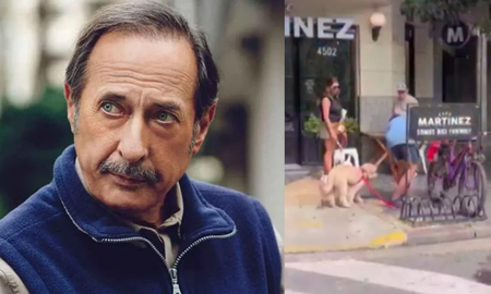 El video de Guillermo Francella, enojado tras ser mordido por un perro en la calle: Tiene la pierna lastimada El video de Guillermo Francella, enojado tras ser mordido por un perro en la calle: Tiene la pierna lastimada