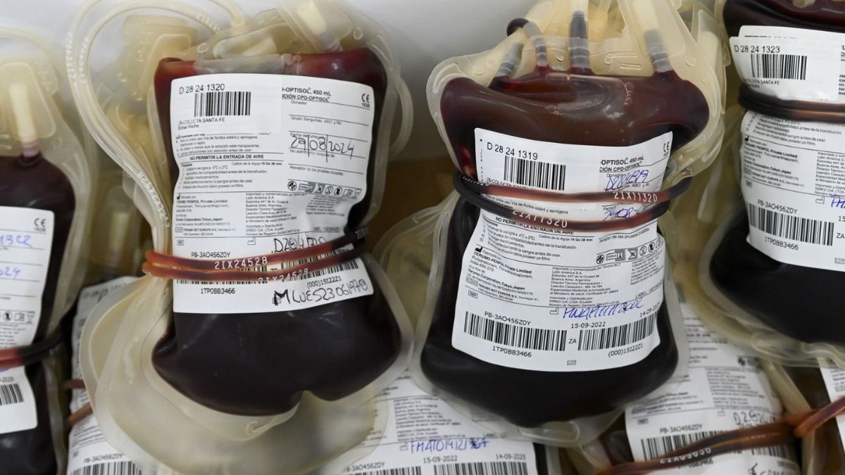 En 2025, 30.000 santafesinos donaron sangre en el sistema público. En 2025, 30.000 santafesinos donaron sangre en el sistema público.