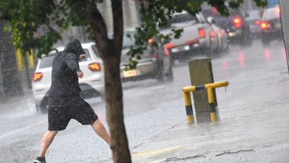 Lluvias y tormentas en Santa Fe: fuertes ráfagas, caída de ramas y cortes de luz en algunos barrios