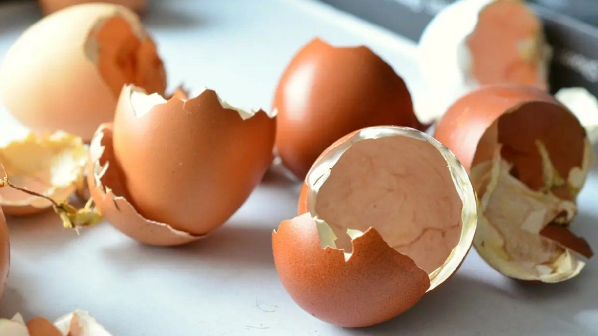 La principal razón por la que esta tendencia gastronómica se volvió tan popular se debe a su gran versatilidad.