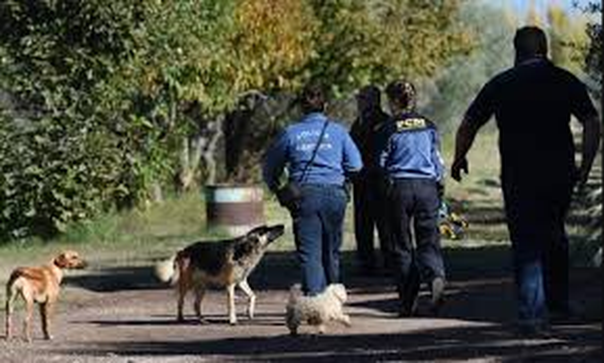 Un vecino encontró los restos de una mujer desmembrada y quemada entre matorrales en la intersección de Zapata y Pascual Segura. Un vecino encontró los restos de una mujer desmembrada y quemada entre matorrales en la intersección de Zapata y Pascual Segura.