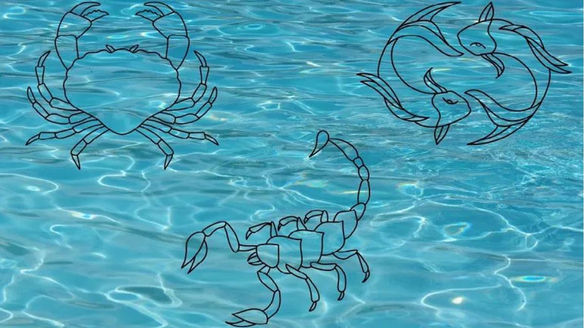 Signos de agua: Escorpio, Cáncer y Piscis