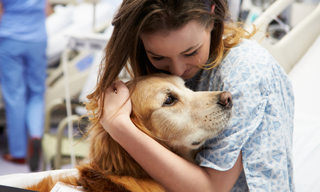 Los importantes beneficios de la terapia asistida con perros. Los importantes beneficios de la terapia asistida con perros.