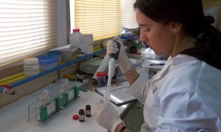 La investigación demostró que el aceite de cannabis medicinal puede contribuir a prevenir distintos desórdenes del metabolismo. La investigación demostró que el aceite de cannabis medicinal puede contribuir a prevenir distintos desórdenes del metabolismo.