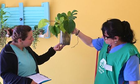 Para mitigar el riesgo de un brote de dengue, la Municipalidad desplegó una serie de tareas preventivas en distintas zonas de la ciudad. Para mitigar el riesgo de un brote de dengue, la Municipalidad desplegó una serie de tareas preventivas en distintas zonas de la ciudad.