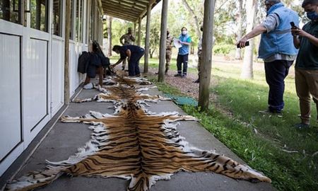 Durante tres jornadas que finalizaron este miércoles, los inspectores visitaron un centro de recuperación de animales silvestres en Paraná y un zoológico ubicado en Concordia. Durante tres jornadas que finalizaron este miércoles, los inspectores visitaron un centro de recuperación de animales silvestres en Paraná y un zoológico ubicado en Concordia.