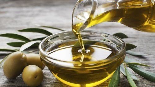Para producir aceite de oliva, el barrio de Agronomía no tiene nada que envidiarle al Mediterráneo