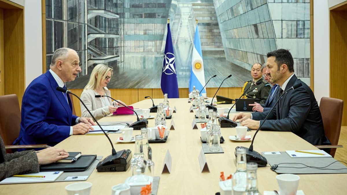 El Ministro de Defensa, Luis Petri, durante su reunión con Mircea Geoana en Bruselas, discutiendo la integración de Argentina como socio global de la OTAN.