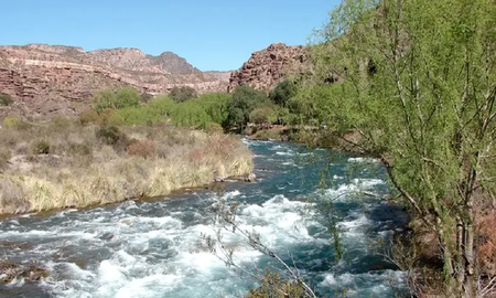 Mendoza: encontraron el cuerpo de una turista cuando intentaba cruzar el río Atuel Mendoza: encontraron el cuerpo de una turista cuando intentaba cruzar el río Atuel
