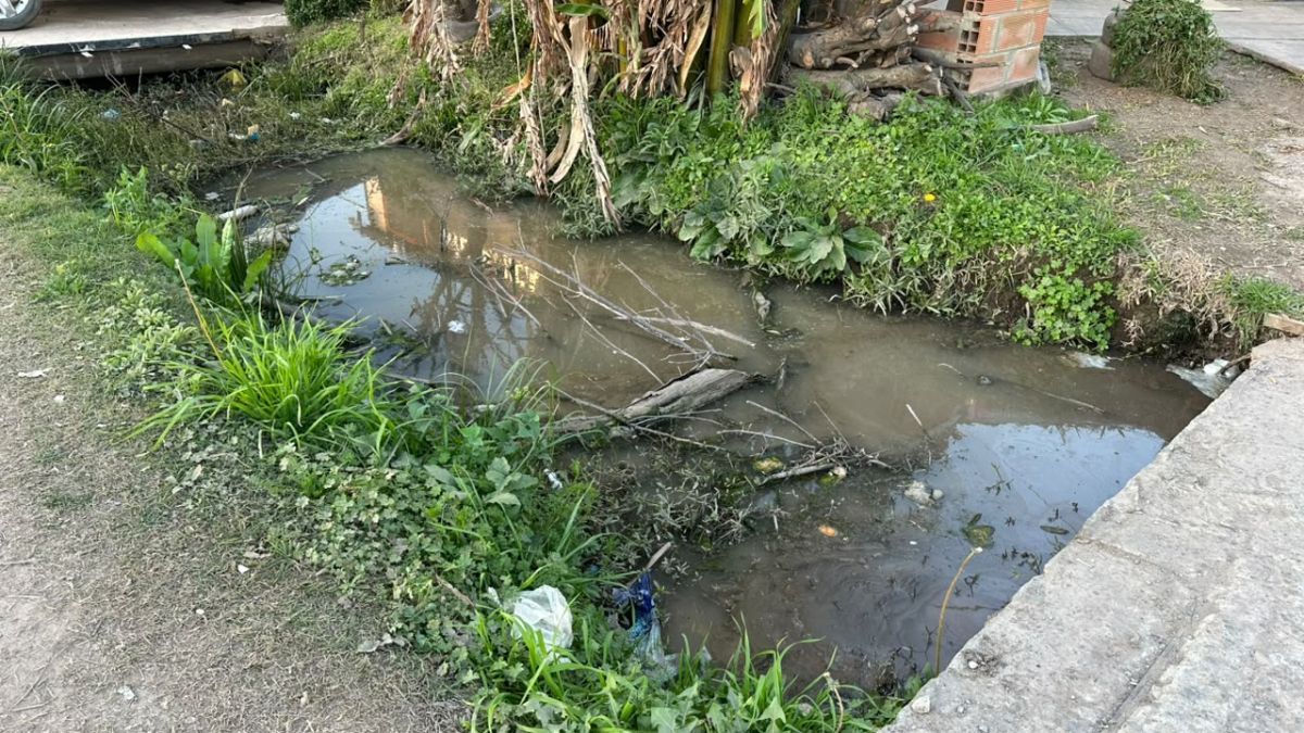 Así se encuentran las veredas de los vecinos de calle Florencio Fernández al 4700. Así se encuentran las veredas de los vecinos de calle Florencio Fernández al 4700.