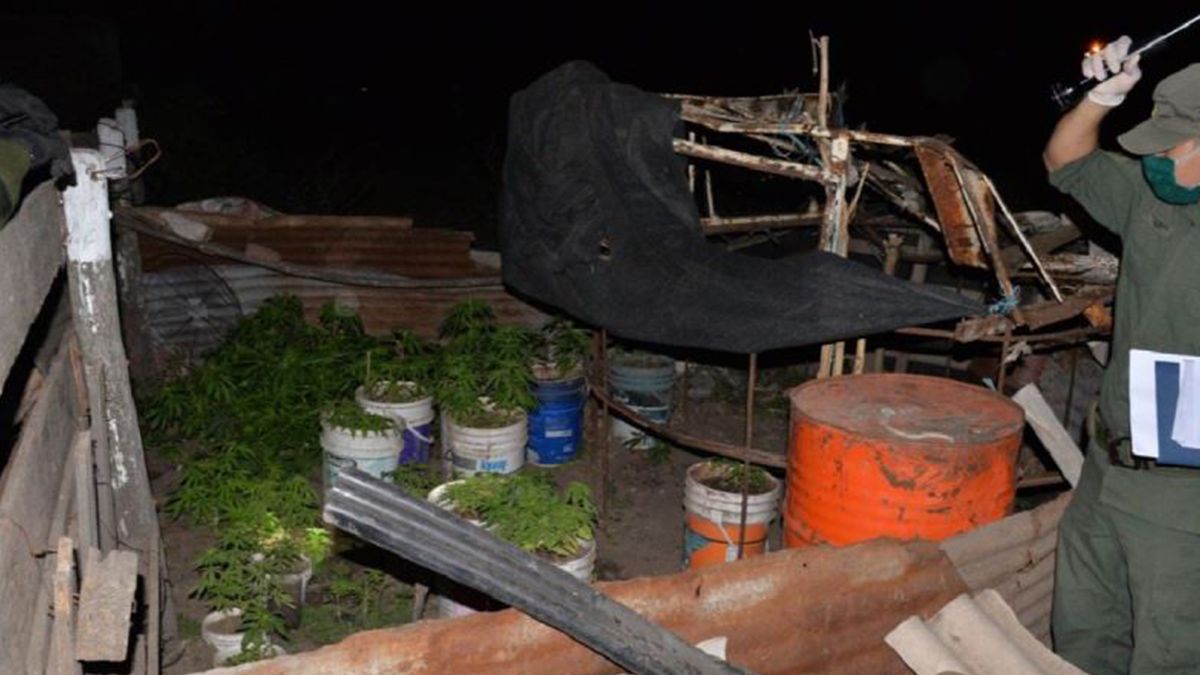 Gendarmería en uno de los procedimientos que tuvo lugar en Frontera en junio de este año.&nbsp;