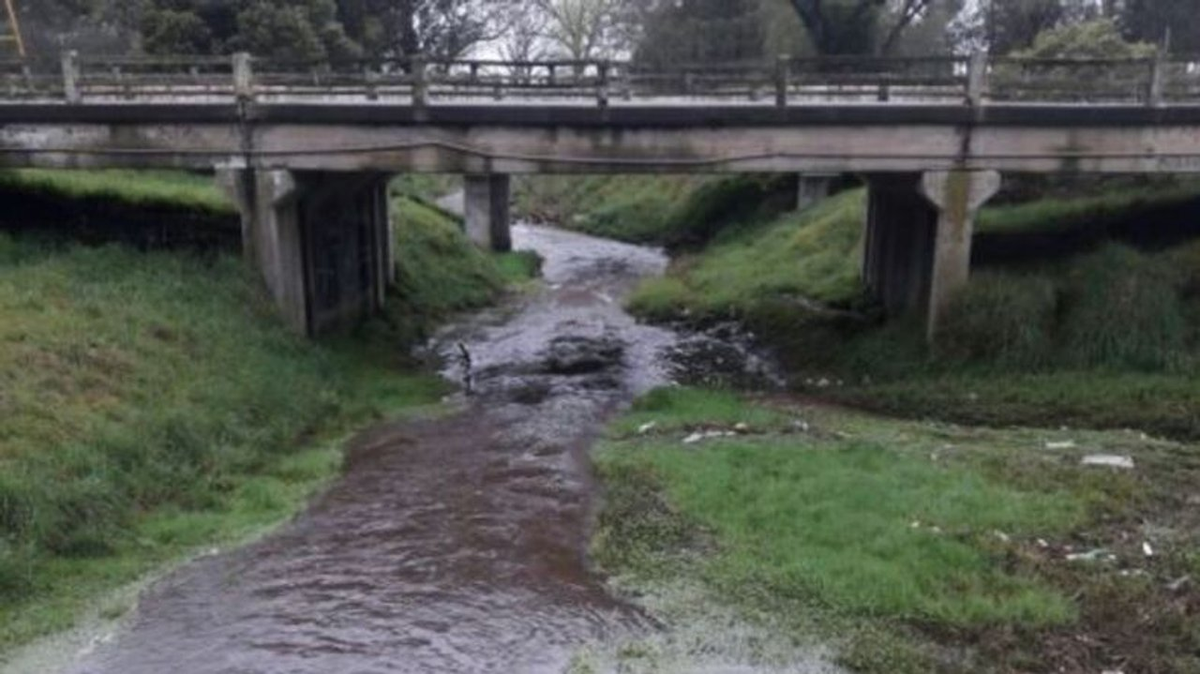El hombre muerto padecía problemas psiquiátricos y era adicto al alcohol.