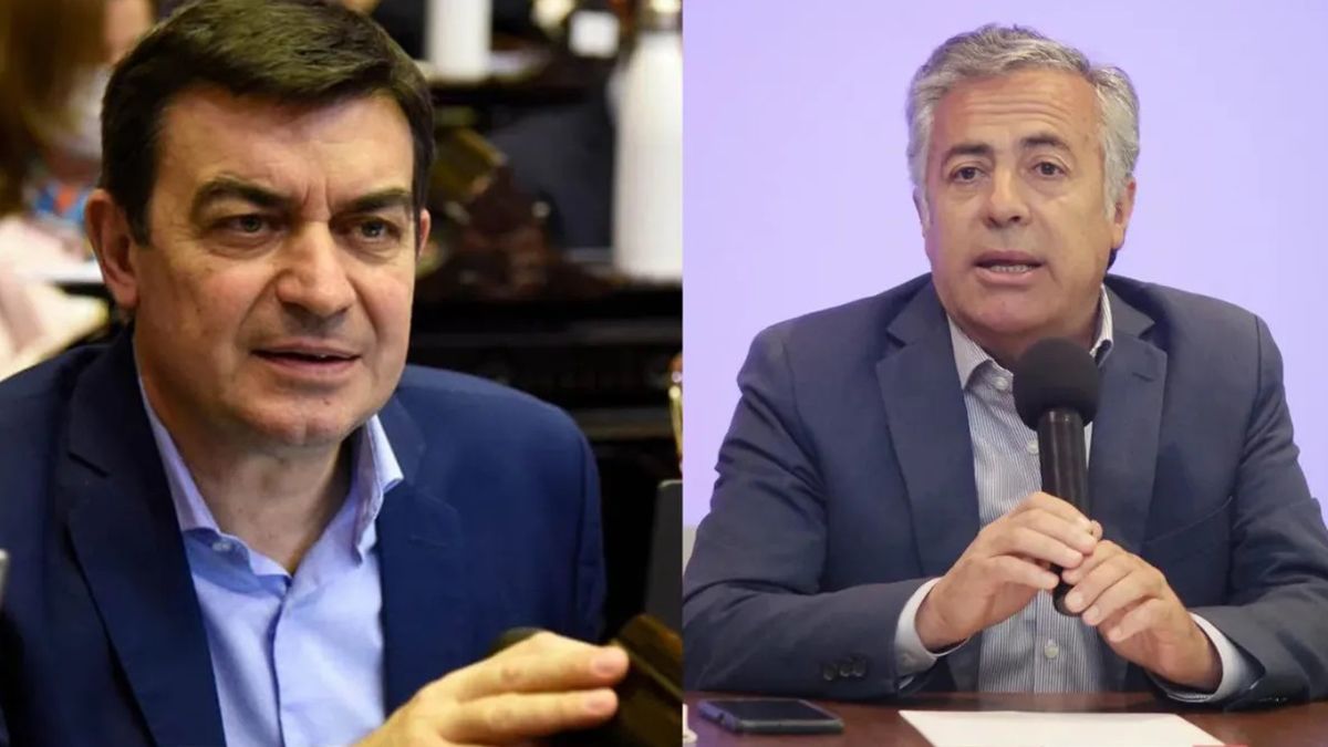 Además de Gobernador y vice