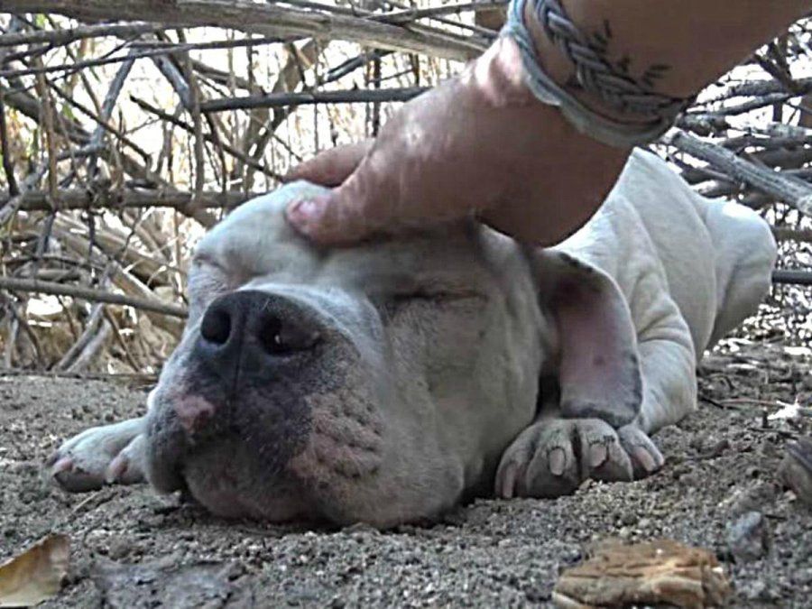 El fiscal penal de General Güemes