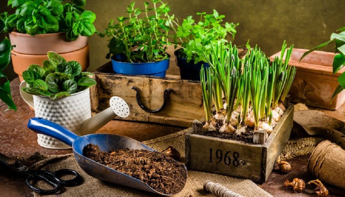 Con una regadera y una pala ya se puede comenzar la huerta.