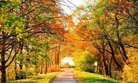 Los mejores destinos de Argentina para una conocer en otoño. Los mejores destinos de Argentina para una conocer en otoño.