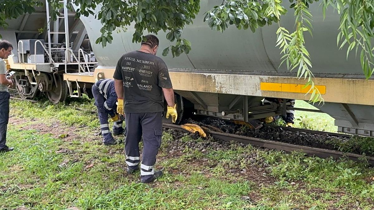 Personal del Belgrano Cargas trabajaba en la mañana de este domingo para intentar acomodar los vagones que descarrilaron pero no volcaron.