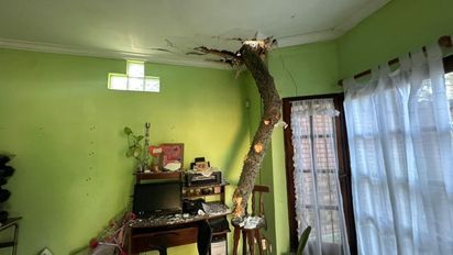 Santa Fe: un árbol cayó y destruyó el techo de una vivienda en barrio Loyola