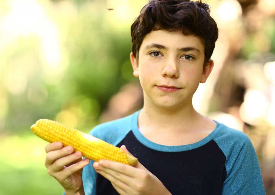 Alimentación vegetariana.