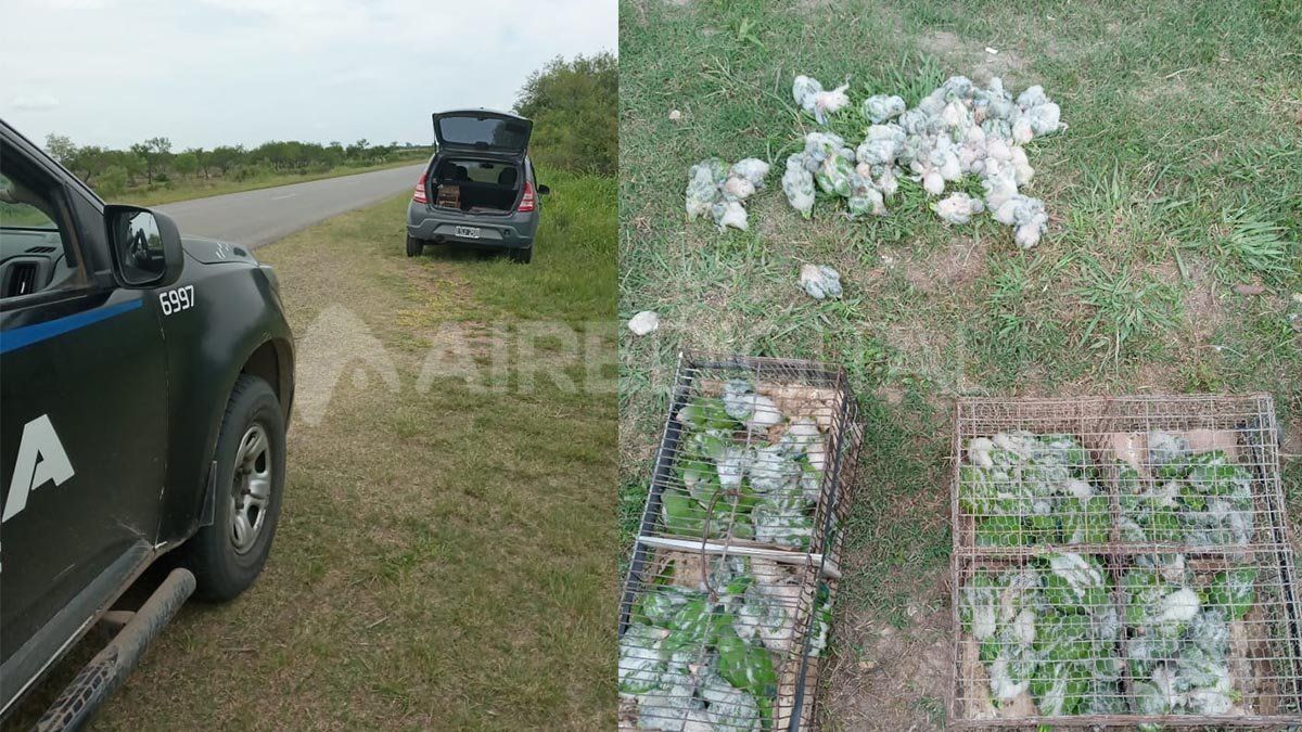 La policía interceptó a tres hombres de 35