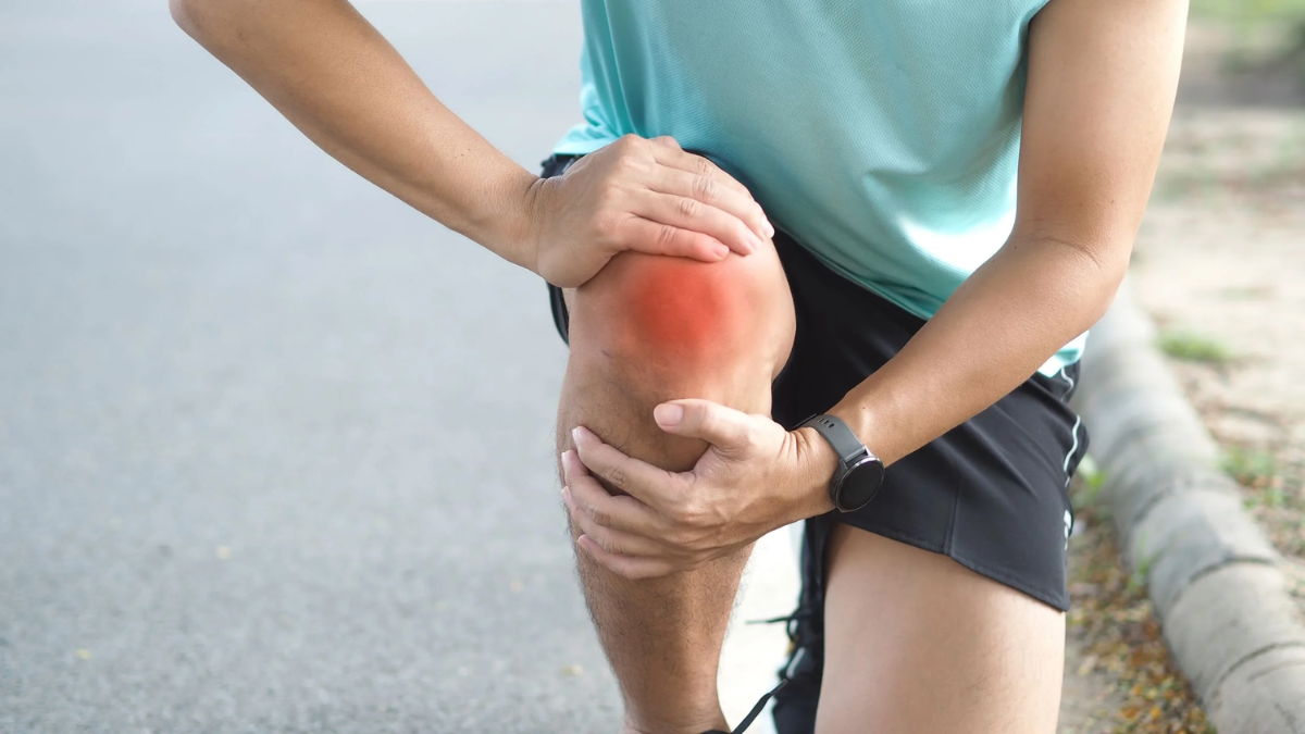 El trabajo progresivo con pesas en los cuádriceps ayuda a absorber los impactos diarios y sostiene la articulación de la rodilla.