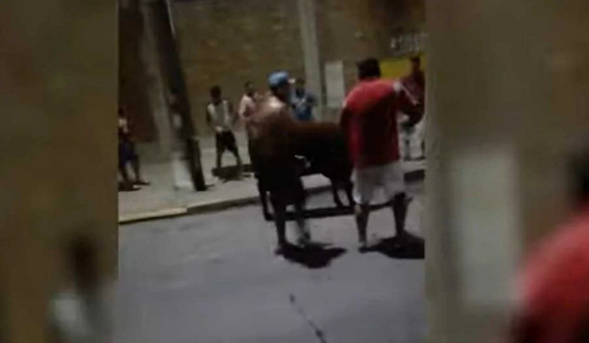Exigieron una vaca como peaje y la degollaron en la calle