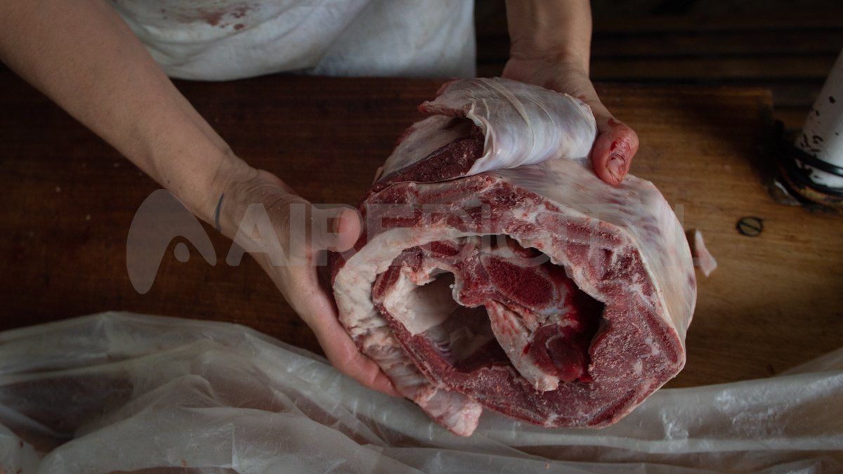 Con rebajas de hasta el 30% respecto de los precios vigentes en diciembre